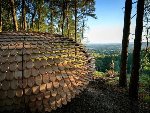 32 Home grown Western red cedar supplied by Co2 Timber