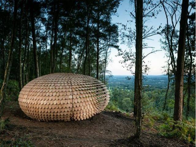 33 Home grown Western red cedar supplied by Co2 Timber